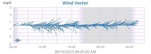 Wind Vector