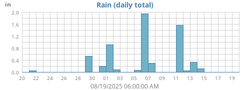 Rain