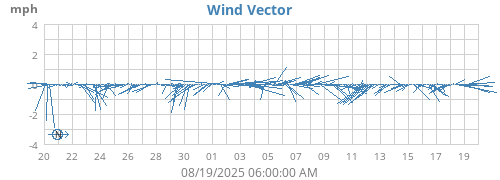 Wind Vector