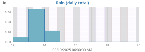 Rain